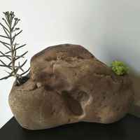 21198004dfa99ad55f1556f5428e946bf637beb7