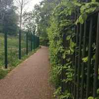 C1029b9129bdfb85254656301b4bf898bf9ca210