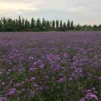 324accb16994b07099b5fd7a8b1c66436587dd34