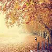 8ce2148277f727551bf5457a8552bd560a0650f1