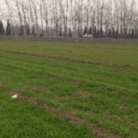 573c28e9928a3f83693f53454ba22e99934c3126