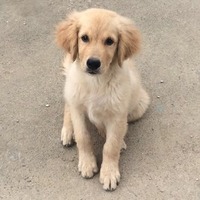 D5f680d7b2b1aa8c18fcf0504abb89a8e9c9a17c