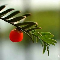 9ed68685be45461358566975ef6d9df2d5fa2b9b