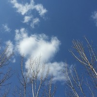 7d165c3e228c2e4d5a57fa5d56706a6d9a231c3f