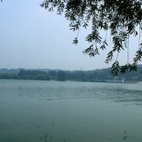 C295acea29122658f22222c4ec39cd8debd9c50c