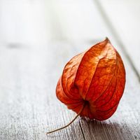 9990a24ac73e40738c59b588ddf71b445f4e2520