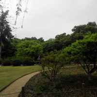 C9e978cfda4d77098ea29898a463f350ad00f961