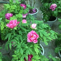 159ef44f52a43fe719fec48de0bddbf42acc32f4