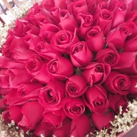 790278216c519ccb3dd25b7b27a04631d5efd9c7