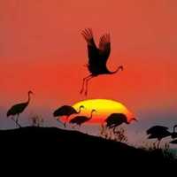 148c0aade2abd18eb00bcc39e76d52b1993a4be5