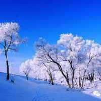 D97d3a5c9c5d1e4c8f2087260f70b234b3f75ae7