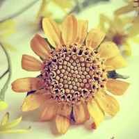 Dc33c1f8ac41680994d3ab920f72472382772e19