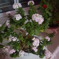 C0ce1f8e1bfb27e22279f08f5a00ea2ca956c767