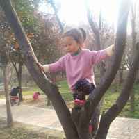 8b0f736ec6d53a6a48ea5bd9def451d8f4b50710