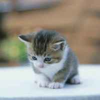 02c5f42c6fa8f571b075640526ff126bed4a76cf