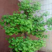 0e58c7ea8ee11a3716644607a0650caa0fe159ed