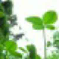 2c5e3b2a5536e2c1cdfee3223a85015cad37dae0