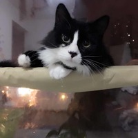 1f3c69330267714a22d2b16003ee729bcad9c1cf