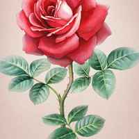 46f120c7f19920827de8b46b4319c8ae31072970