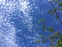 6607090718bacb6dee31899e3eab1c26b022d00c