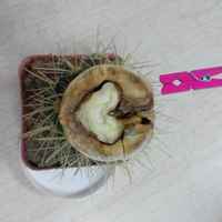 26a2ca27bce05b7bff74032a20de280712441685