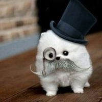 4c4196bf65bd21c64692f70dceef87dfce2bc904