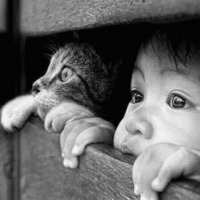 F552c0166067891cb3e43d4d01a60b58506033b7