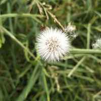 00b176583fc17bdd30d843f97ae3feb52e8f353a