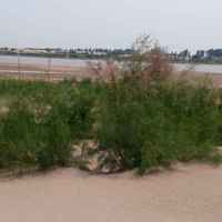 E4969373fadd941584b48929e2b5af5e7931bfd1