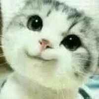 31681a8284194bce191414dc71055e448d798bad