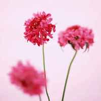 366eada6f18f929d8ead71100ce180fe45aeaf47