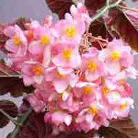 F41ff64b39d206607c4ab24cf64d7d3b59f2472d