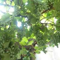 9b2e773f5b5641e654c500c53a8d2280521a83e0