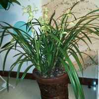 9492b0b1800c57f14d9286938ffd3a72413d43e4