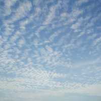 302ab455c75baee523edf73383a64bb275e51617