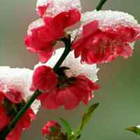 2e80a980087bf9b94e4bb90567362764c6a441ca