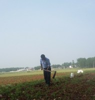 328f7c9c9e1770c808be8de2d7031e764f5cb414