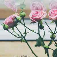 C0e9b2f7c86c638965da2bd8f960ef2733d915e3