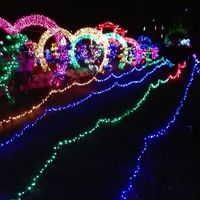 8e4f881a3ba6c33a389ea49f240a968ec8700419