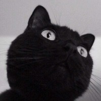 A8d5dfebdcc154484d7361a3b48d723b14496a1c