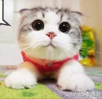 C342d3016a09865011f34d532f9d65751f04a409