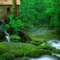 A1cfa3840ba7011b32c58c1957fa5345bed040d2