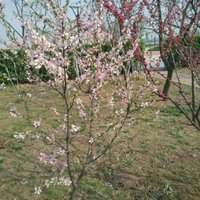 5677a3658270c0898e248212c40154eec983b68a