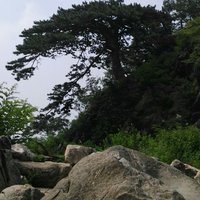 6927665e6c2ae1ecc148b911fcc7c349b6089434