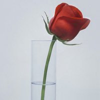 3c24cdc2a1d48ba7d5ff3125fc43059eb2bd2b9a