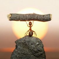 D157a09885bc20d210f7f7565ff6fd75eb1700ce