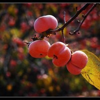 9d9d62e1fb583b302007aaeec2d0b660479ffee3