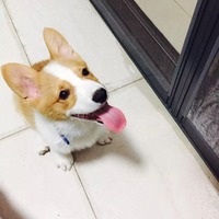 Cfeb9628f9758bb99c788b305b438144f225df6e