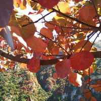 Ee7aa93914a5e75ea577b6b0777da56b6598d932