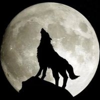 C4b5d39d7e601bac34730c03fd96d7db63926180